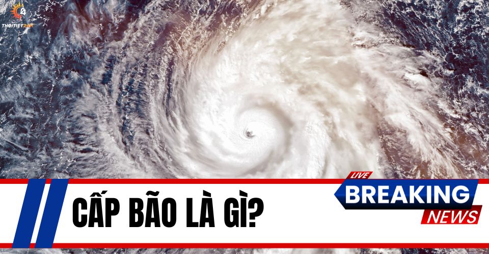 Cấp Bão Là Gì? Các Cấp Độ Rủi Ro Theo Sức Tàn Phá Bão Gây Ra